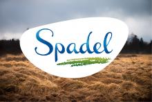 Spadel, La neutralité carbone, de la source au consommateur